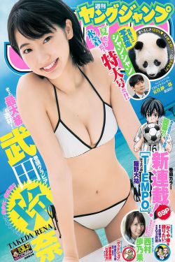 雪山兄弟2